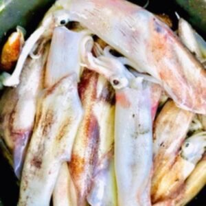 Calamar décortiqué