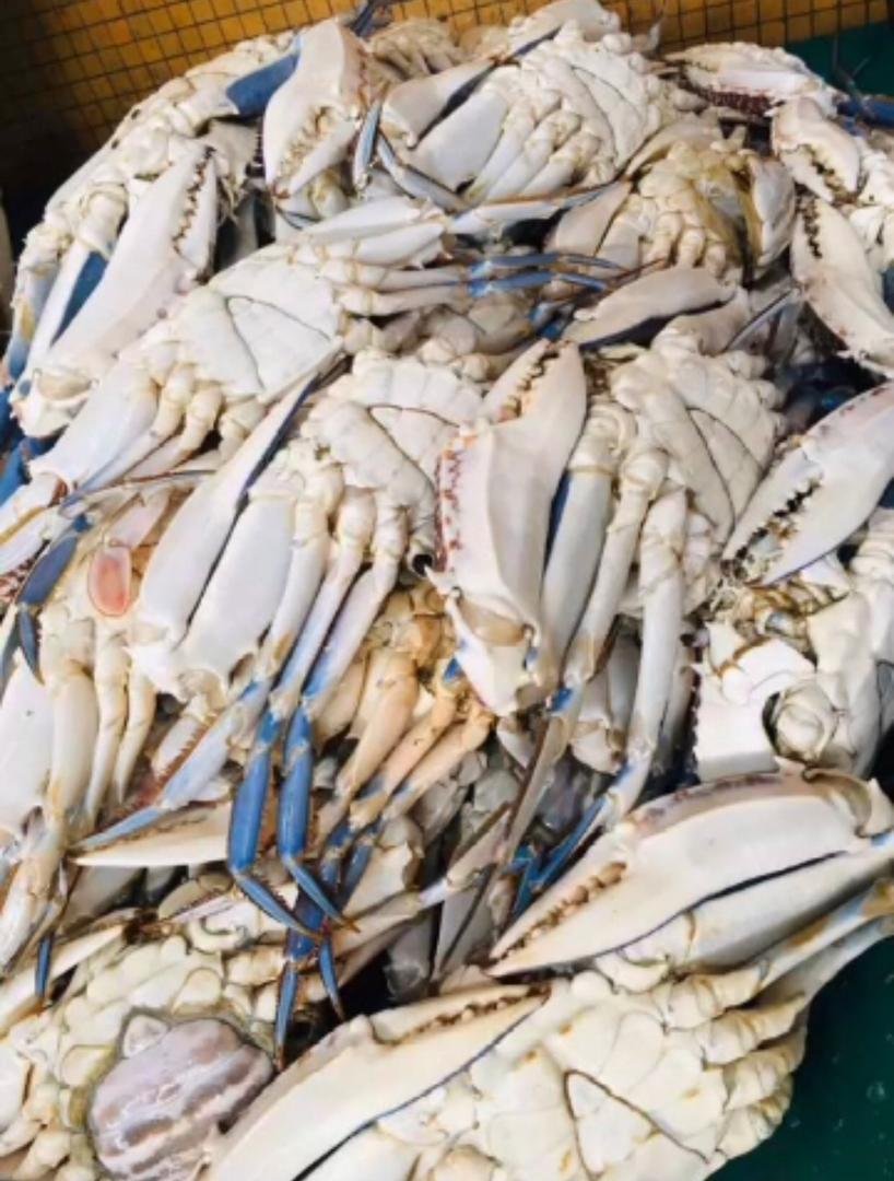 PHOTO-2025-03-13-00-56-38