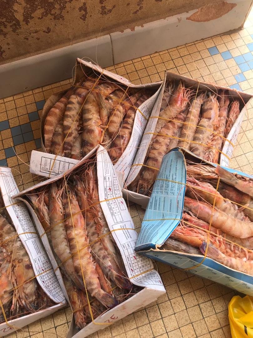 PHOTO-2025-03-13-00-56-39