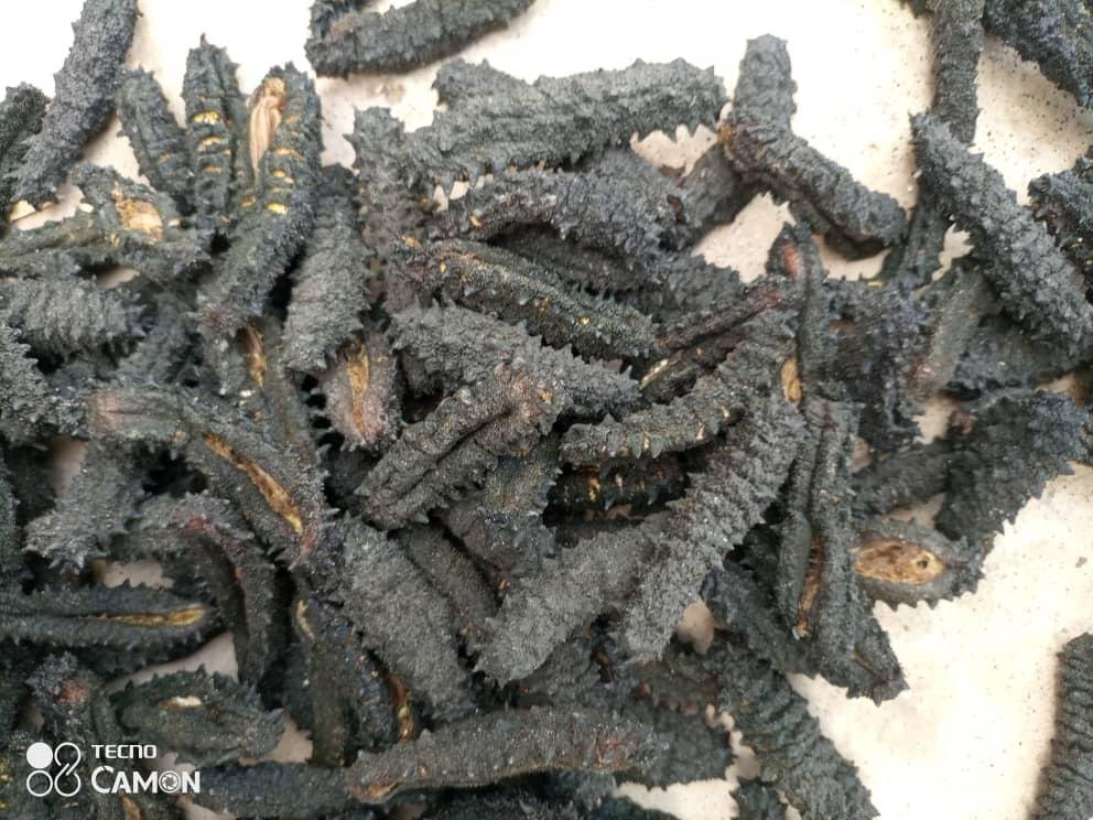 PHOTO-2025-03-13-01-49-19